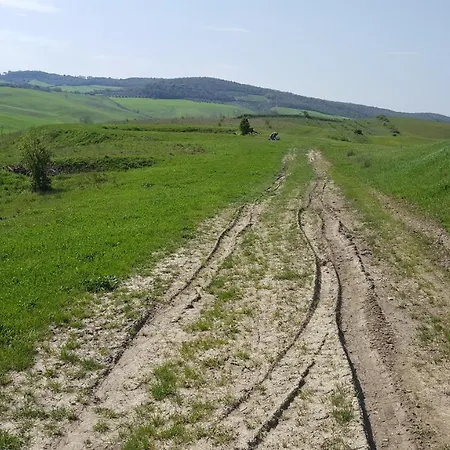 Dago Oda ve Kahvaltı *