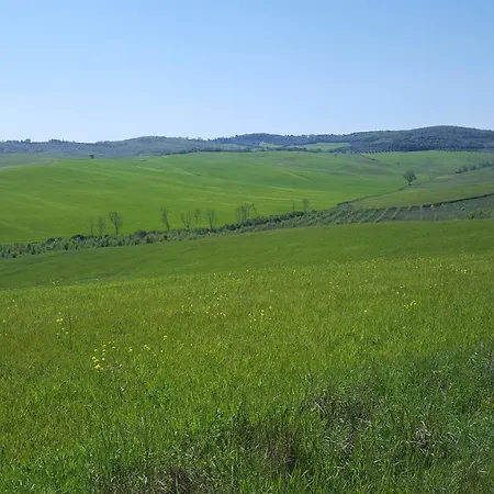 Oda ve Kahvaltı Dago *