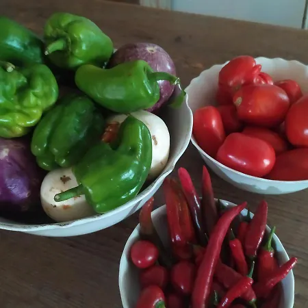 Dago Oda ve Kahvaltı *