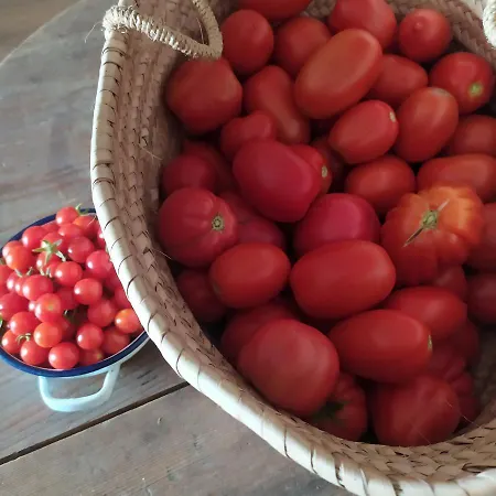 Dago Oda ve Kahvaltı