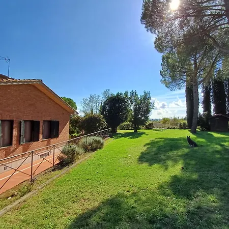 Dago Siena